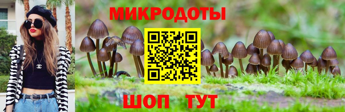 Губкинский  Псилоцибиновые грибы GOLDEN TEACHER  Вход с VPN 